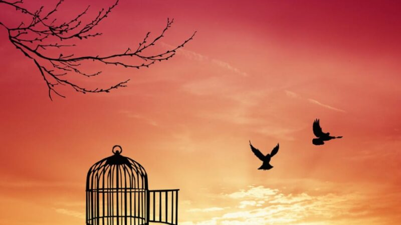 I loved you enough to let you go…