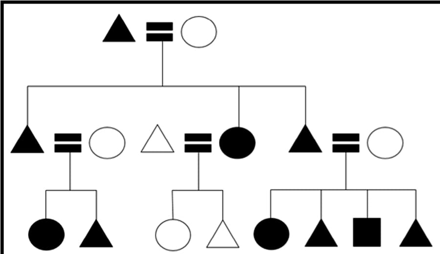 Matrilineal system in India